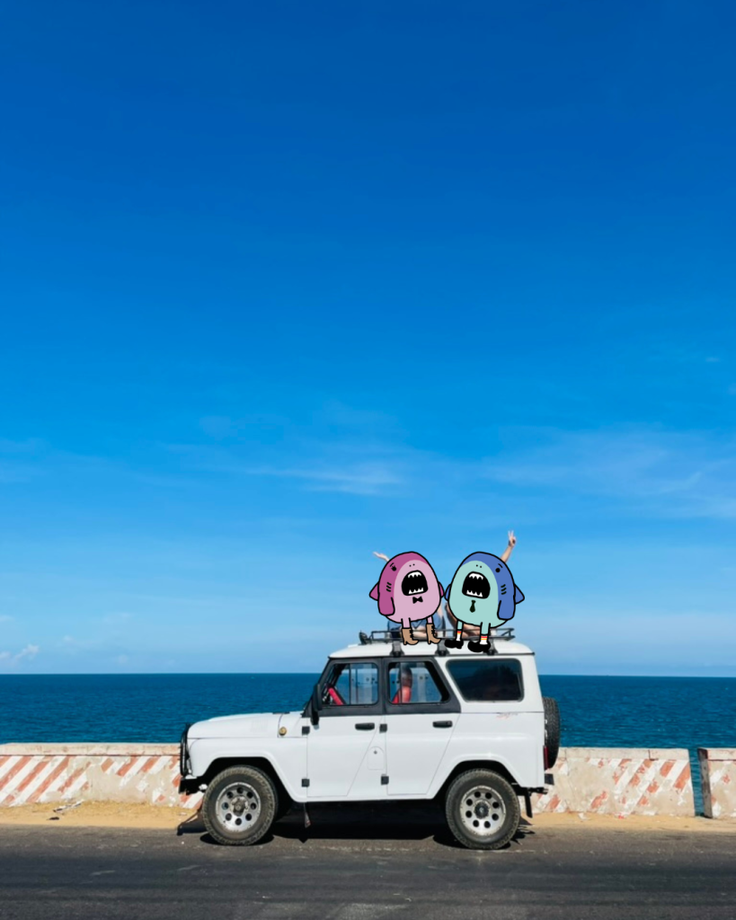 ムイネーのバギーツアー