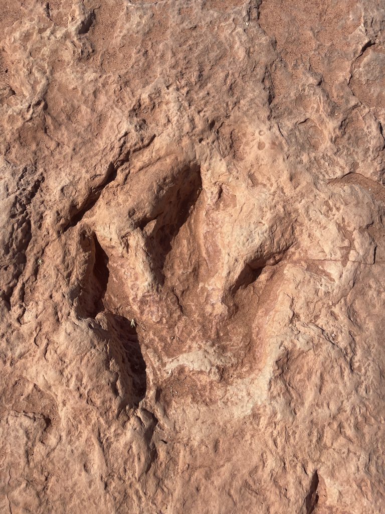 ダイナソートラック